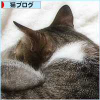 トトの病院_a0389088_21152833.jpg