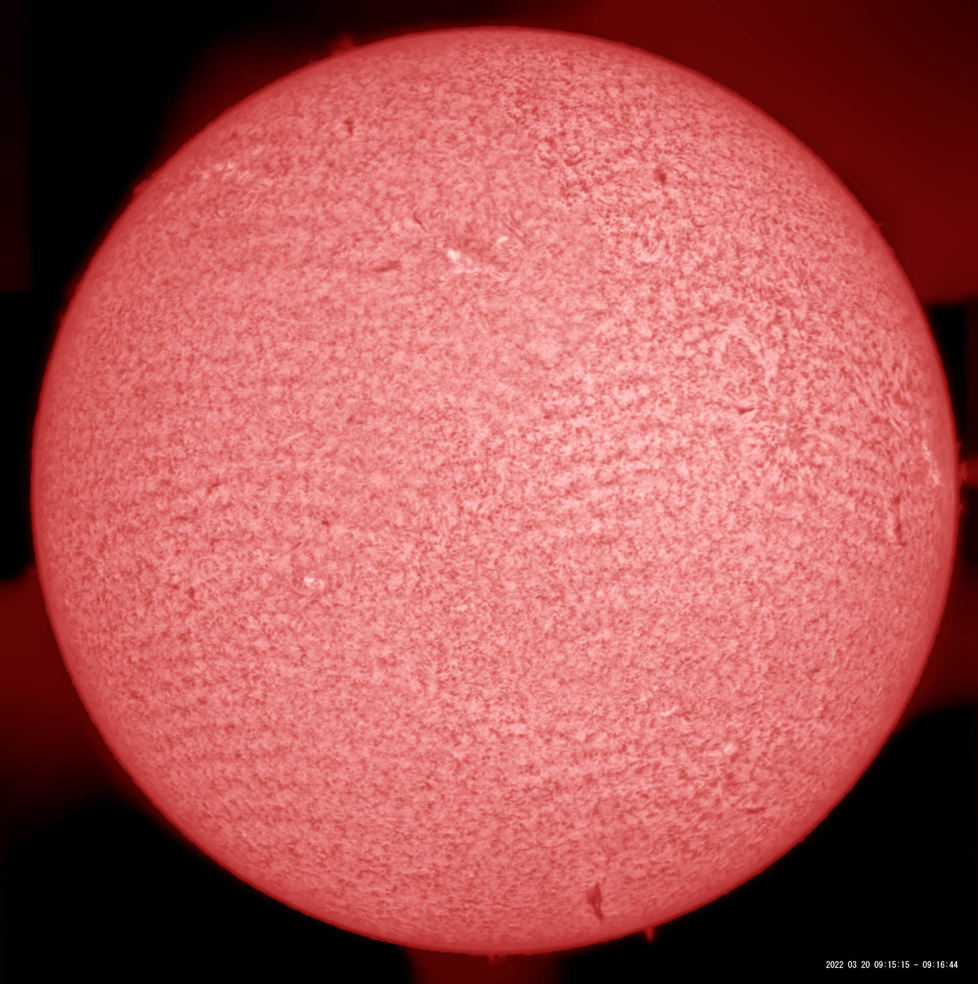 3月20日の太陽_e0174091_15392177.jpg