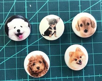 猫のボタン・犬のボタン_d0156706_12321966.jpg