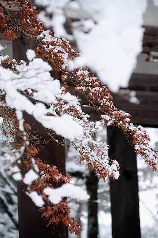 2022年滋賀県の雪景色@湖東　西明寺_f0032011_08133041.jpg