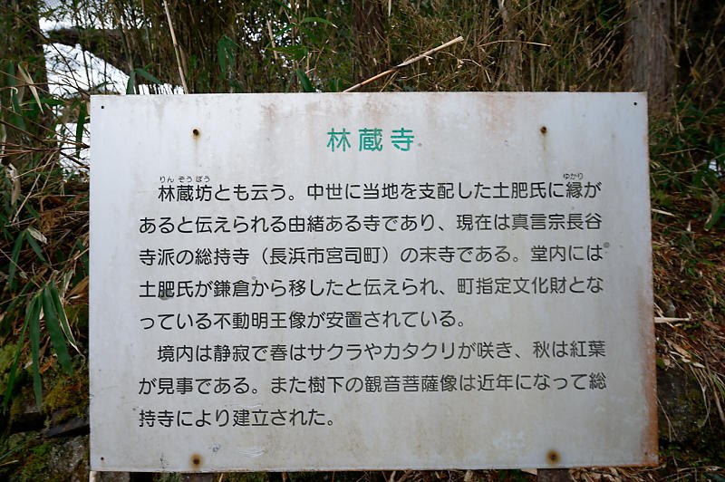 小さな春探し 座禅草@米原 林蔵坊_f0032011_09201981.jpg
