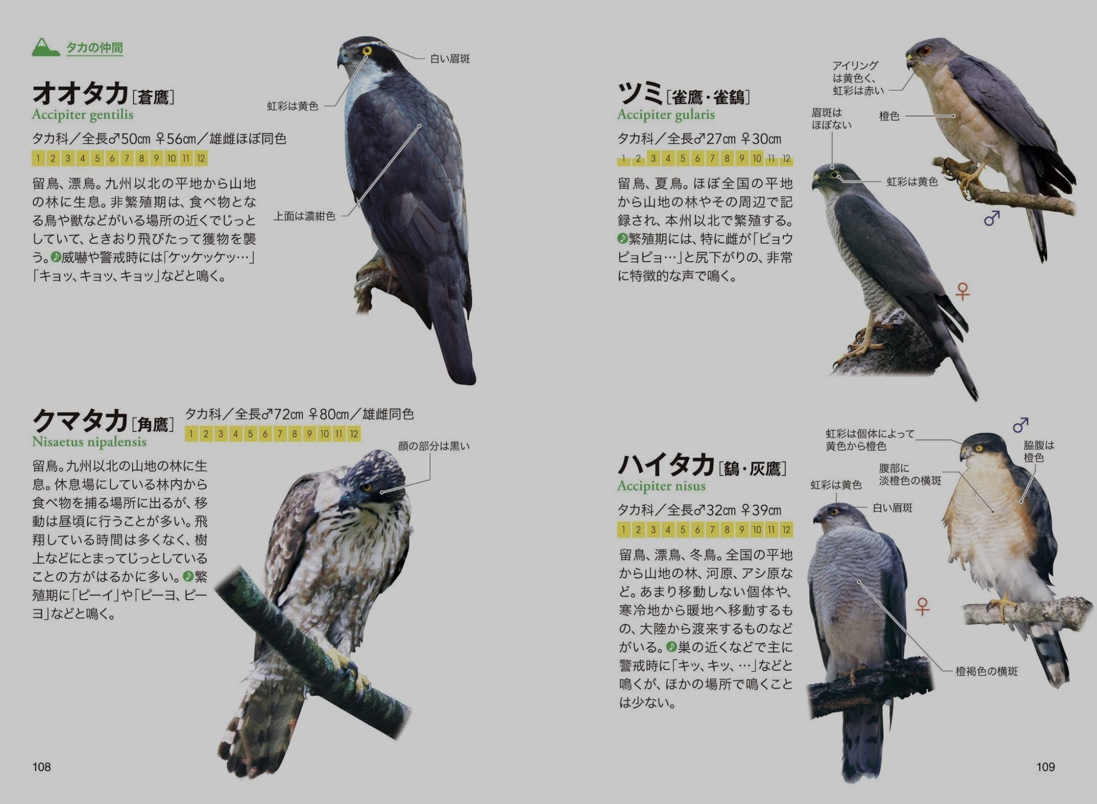 朝から刃傷沙汰_c0025115_20420535.jpg