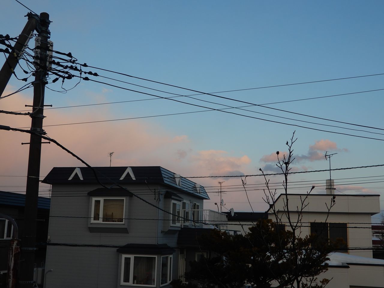 朝から刃傷沙汰_c0025115_21054591.jpg