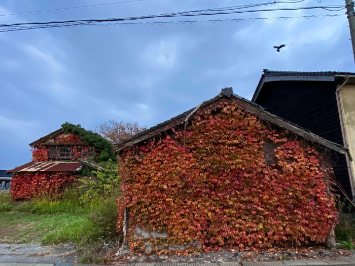 珠洲市蛸島町 / iPhone 11_c0334533_16581843.jpg