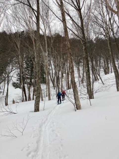 焼岳　山スキー_c0192058_21473569.jpg