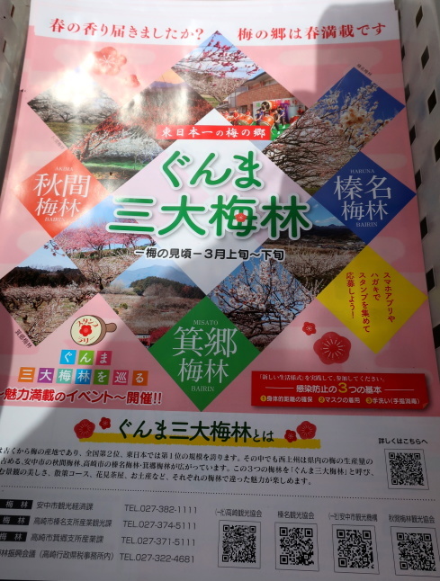 高崎・箕郷梅林* ぐんま三大梅林は春の香り♪_f0236260_19333833.jpg