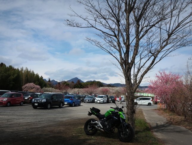 高崎・箕郷梅林* ぐんま三大梅林は春の香り♪_f0236260_20494370.jpg