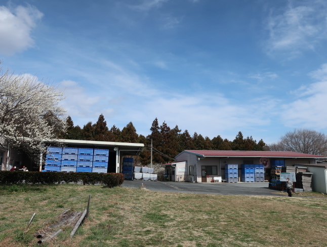 高崎・箕郷梅林* ぐんま三大梅林は春の香り♪_f0236260_23384893.jpg