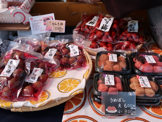 高崎・箕郷梅林* ぐんま三大梅林は春の香り♪_f0236260_23471501.jpg