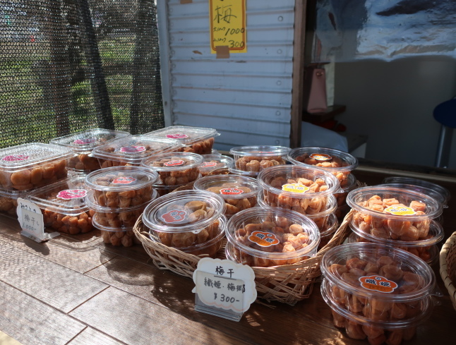 高崎・箕郷梅林* ぐんま三大梅林は春の香り♪_f0236260_23521822.jpg