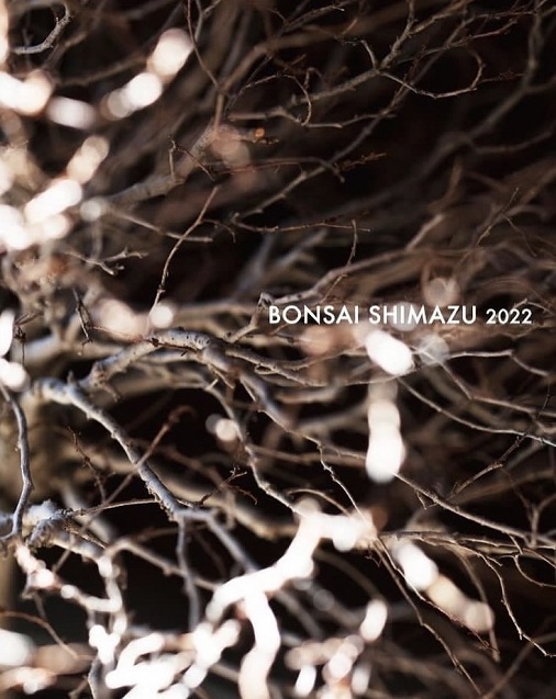 BONSAI SHIMAZU 2022（6月展）_f0202785_20485886.jpg