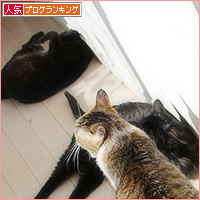 めずらしい、三人_a0389088_16401367.jpg