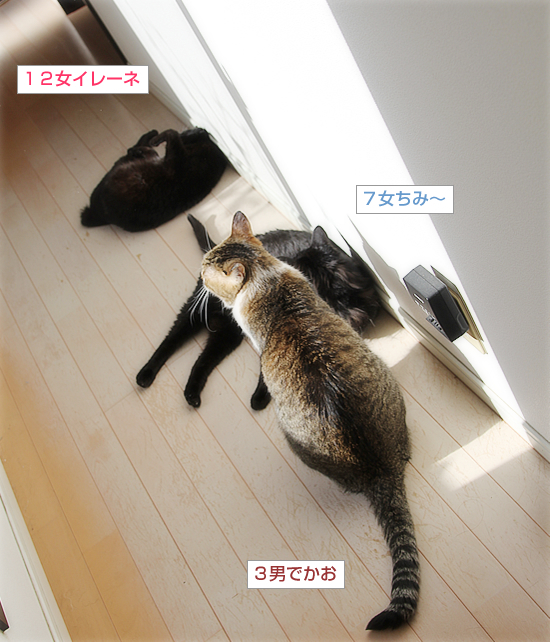 めずらしい、三人_a0389088_16401374.jpg
