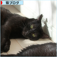 めずらしい、三人_a0389088_16401438.jpg