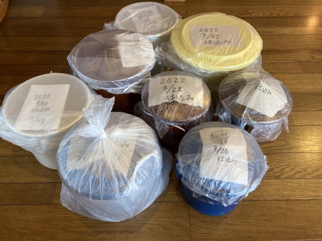お味噌づくり2022年_d0348118_21113853.jpeg