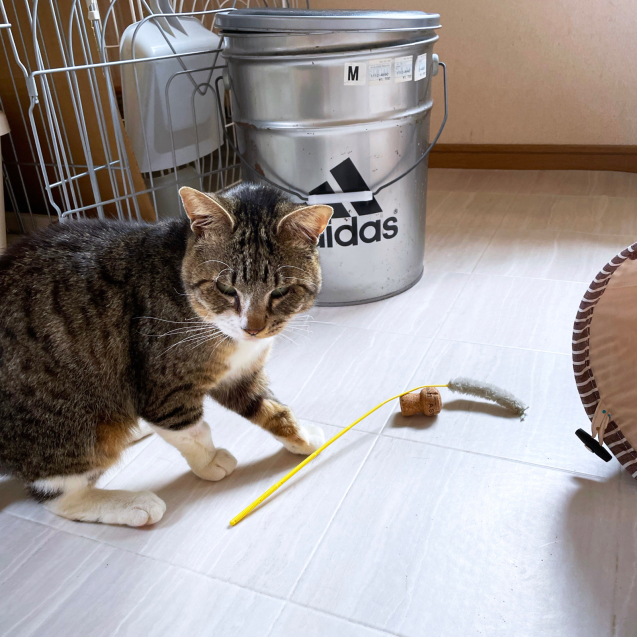 なかなか良い写真が撮れないんだけど_d0355333_19581228.jpg