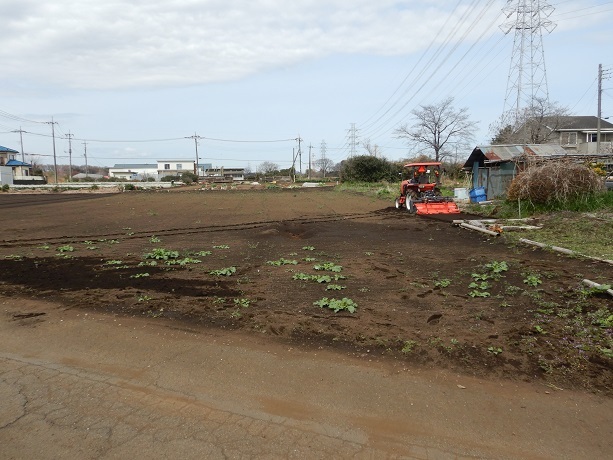 お彼岸の空いている時間で農作業_e0272042_18170748.jpg