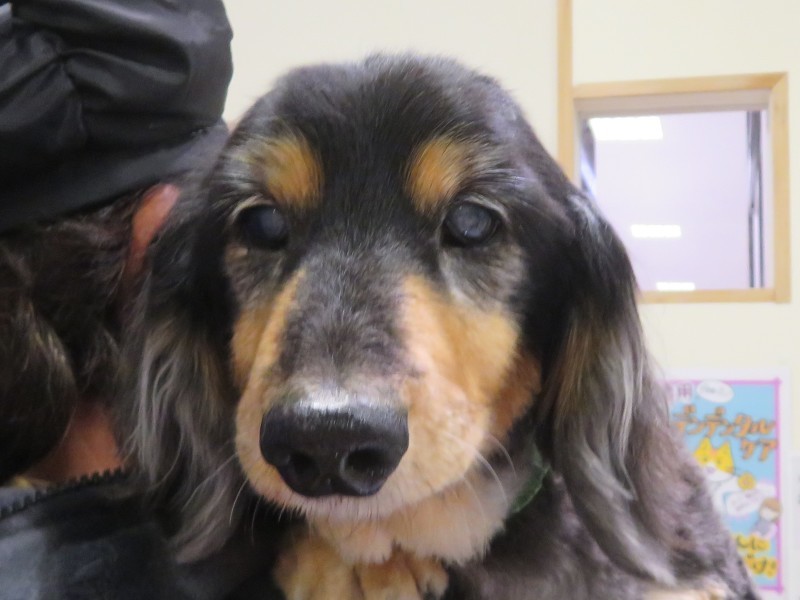 3月 22日の写真_c0174644_11563506.jpg