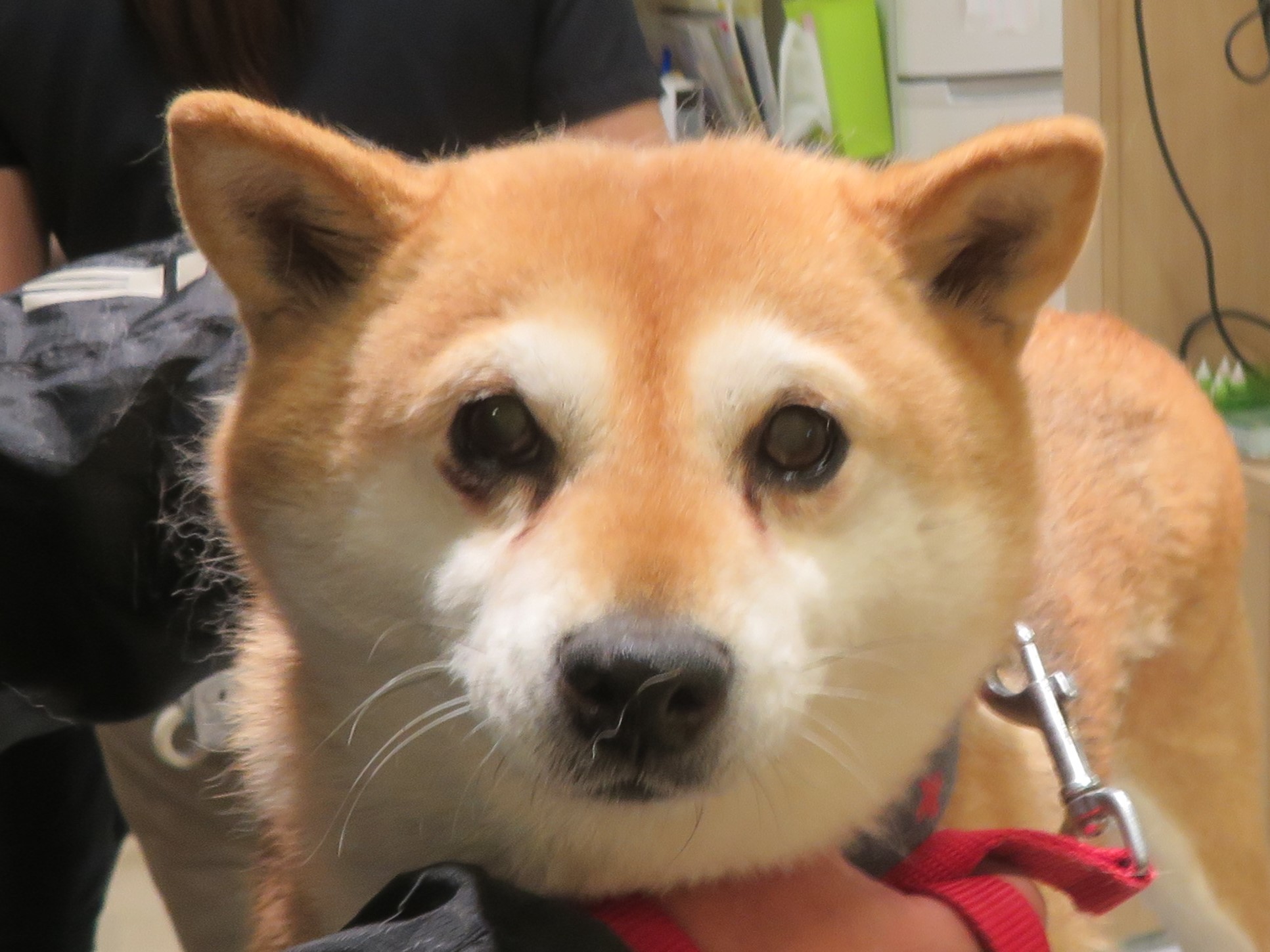 3月 22日の写真_c0174644_11563588.jpg