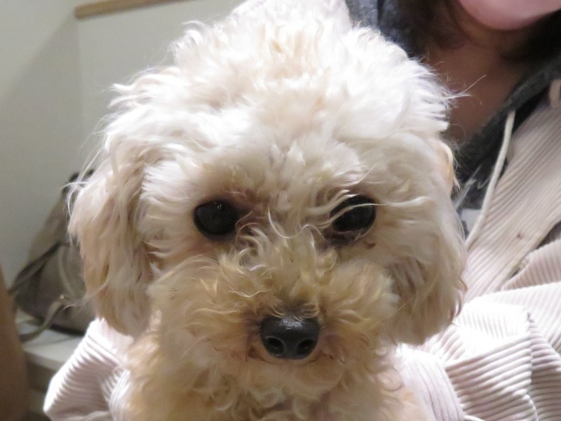 3月 22日の写真_c0174644_18003818.jpg
