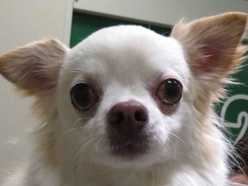 3月 22日の写真_c0174644_20181562.jpg