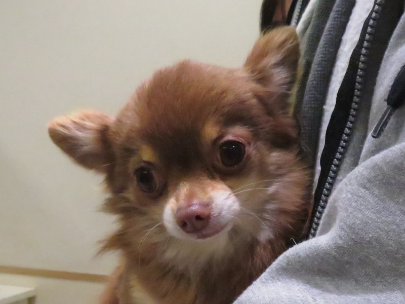 3月 22日の写真_c0174644_20181677.jpg