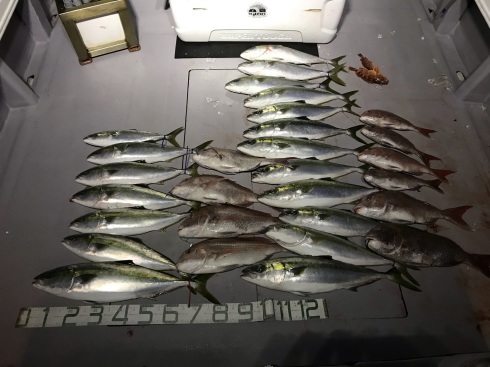 鯛ラバ&ジギング　釣果_b0185158_08310623.jpeg