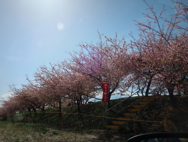 高崎・箕郷梅林* ぐんま三大梅林は春の香り♪_f0236260_00035198.jpg