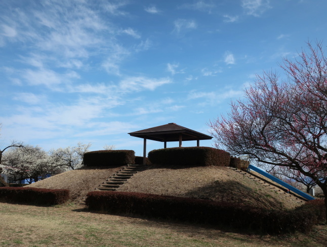 高崎・箕郷梅林* ぐんま三大梅林は春の香り♪_f0236260_01324721.jpg