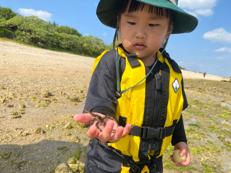 青空ようちえん〔平日〕外遊びが心地よい季節がやってきた!広場を駆け回って海に入って平日も自然を満喫だ!_d0363878_14031300.jpg