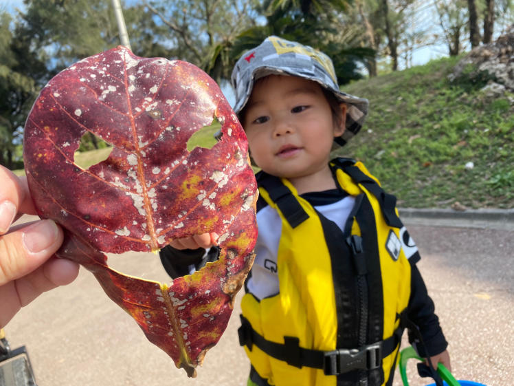 青空ようちえん〔平日〕外遊びが心地よい季節がやってきた!広場を駆け回って海に入って平日も自然を満喫だ!_d0363878_14041593.jpg