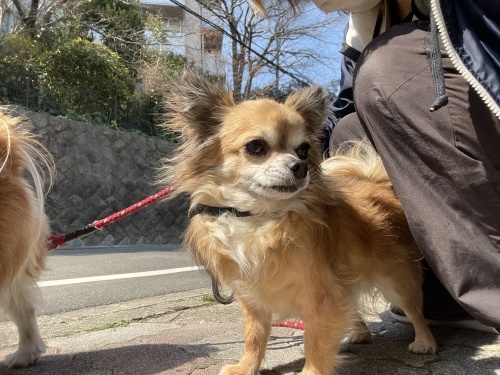 トレーニングブログ_f0357682_12393417.jpeg