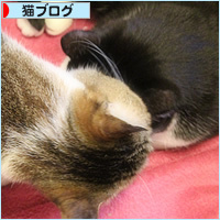 こうして、家族が増えてゆく・・・_a0389088_18035293.jpg