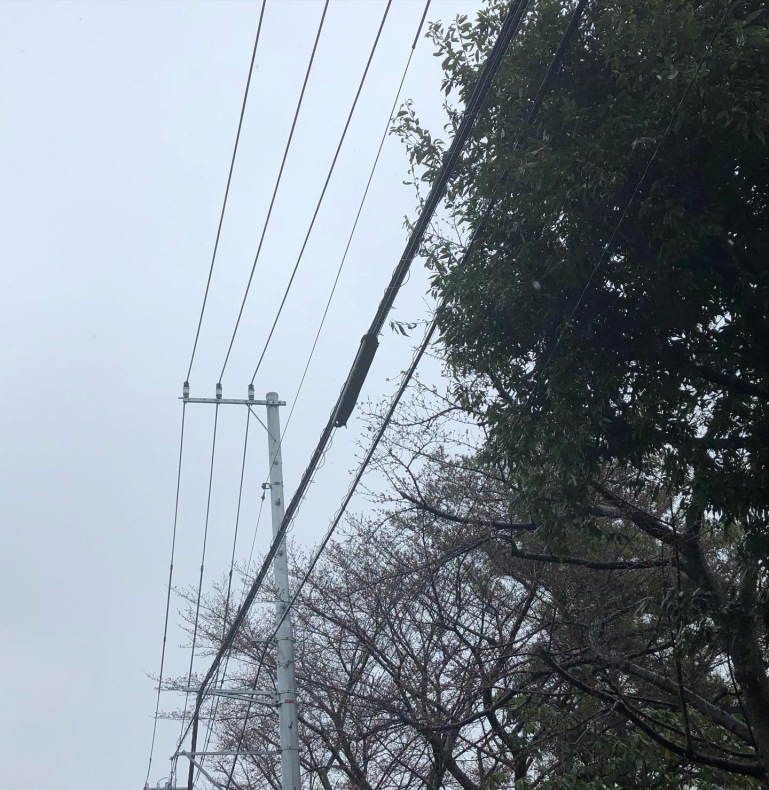 手作りのもの 既存建物調査_a0129492_18324004.jpeg