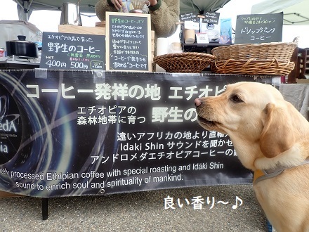 蔵王みはらしの丘ミュージアムパークにて。_c0182012_15425773.jpg