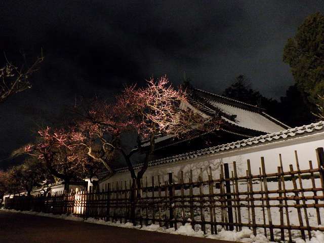 春に降る雪　弘道館と梅_b0330744_01074685.jpg