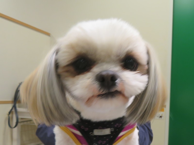 3月 23日の写真_c0174644_18224373.jpg