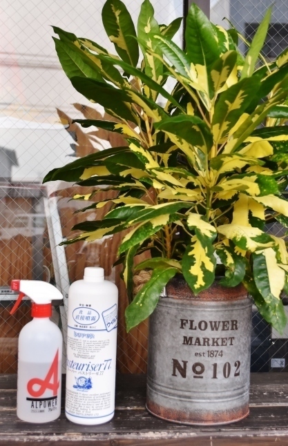 RUHEL No.925 遺品 SPOT SALE!!_d0152280_10075786.jpg