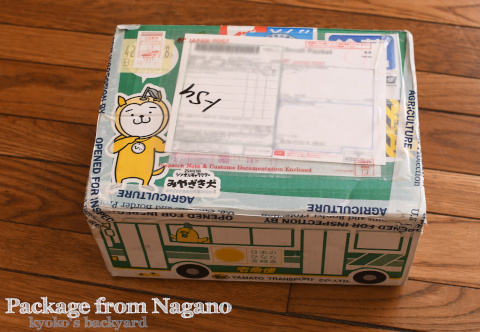 3ヶ月遅れで届いた信州便_b0253205_03344744.jpg