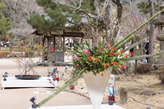 ”美”合気道「美と美」「美と美と美」「美と美と美と美と美」「美人美人」「自然の美と美」_f0033831_04510867.jpg