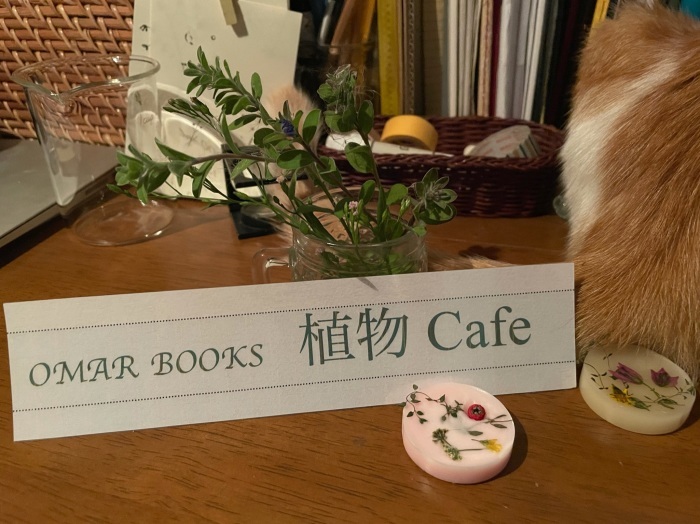 『植物Cafe』_f0234682_14282661.jpg