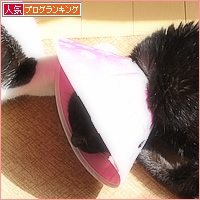 発熱_a0389088_17200358.jpg