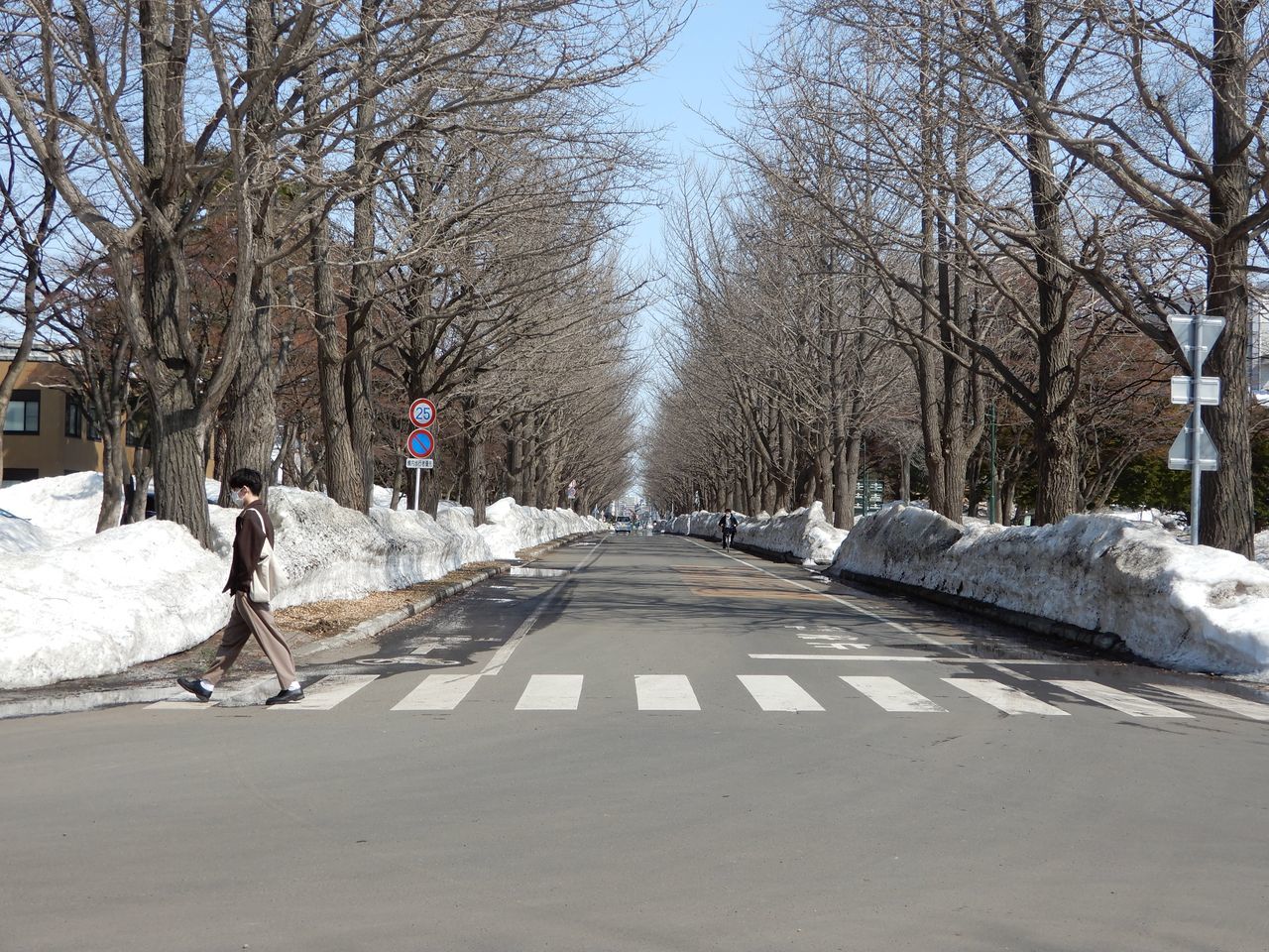 久しぶりに自転車で北大キャンパスに_c0025115_22134965.jpg