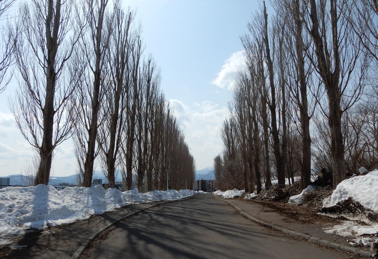 久しぶりに自転車で北大キャンパスに_c0025115_22150439.jpg