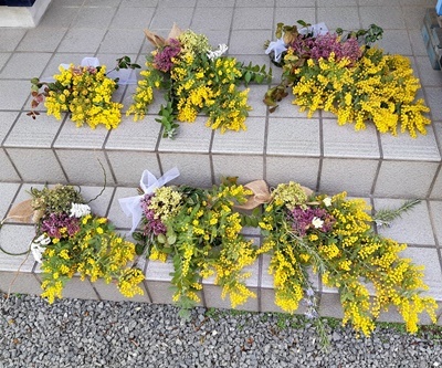 銀葉ミモザ これで最終_f0129726_16312719.jpg