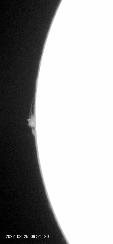 3月25日の太陽_e0174091_19011640.jpg