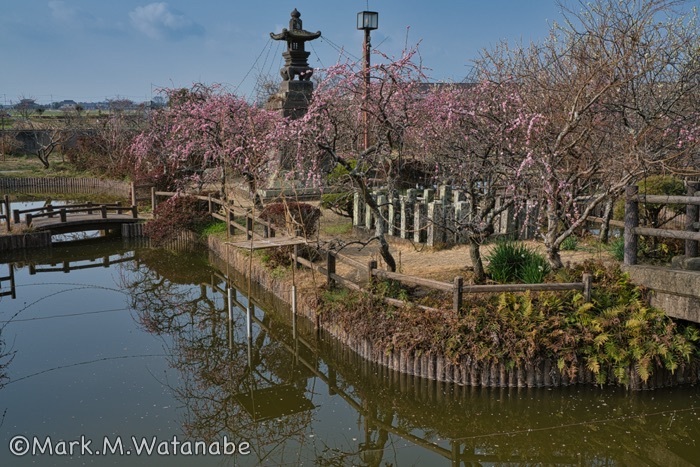 心字が池公園_e0135098_19494220.jpg