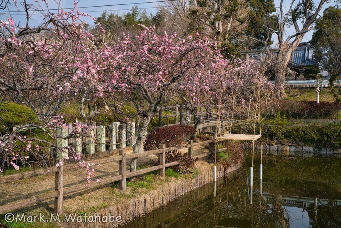 心字が池公園_e0135098_19502047.jpg