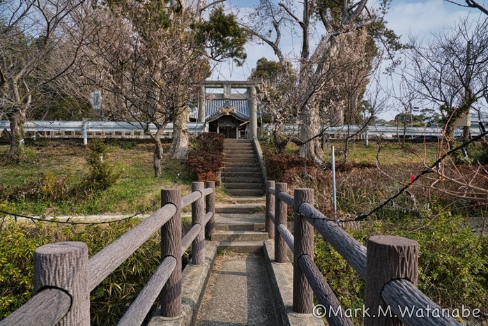 心字が池公園_e0135098_19502916.jpg