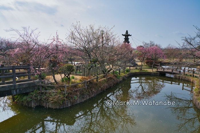 心字が池公園_e0135098_19503999.jpg